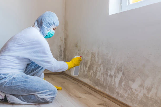 Licensed Crawl Space Mold Removal service in Rosemount, MN - WQB Mold Removal