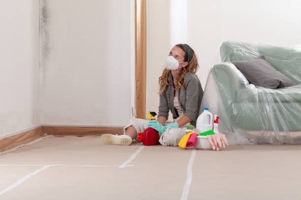 Reliable Crawl Space Mold Removal contractor in Rosemount, MN by WQB Mold Removal